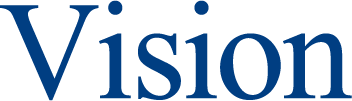 Vision